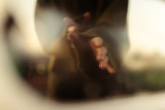 Kasino Royal Slots Podpora